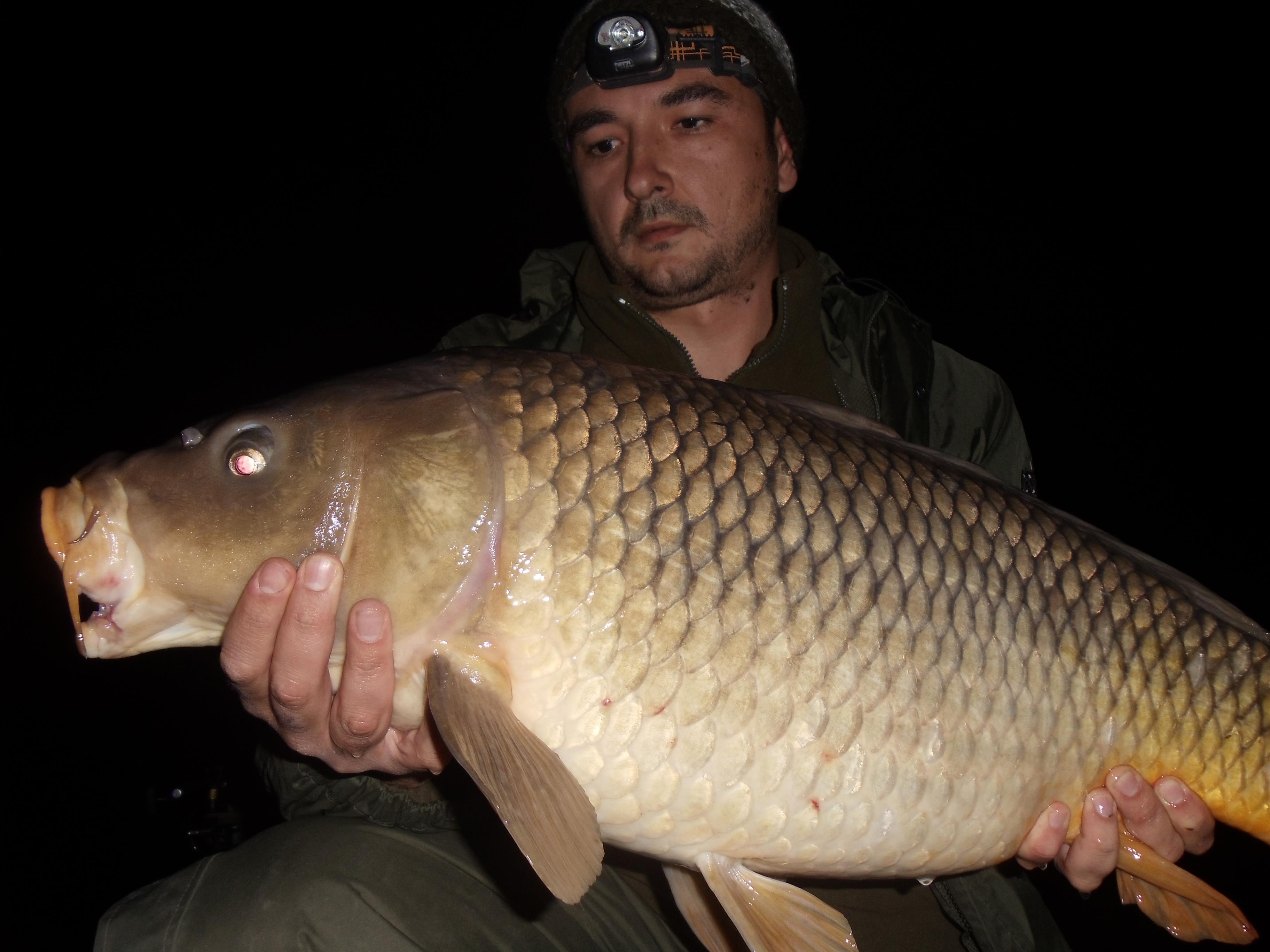 Moara Vlasiei 2012 - MV13.jpg